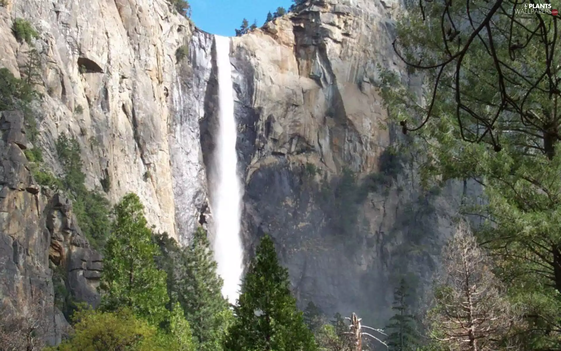 Mountains, trees, viewes, waterfall