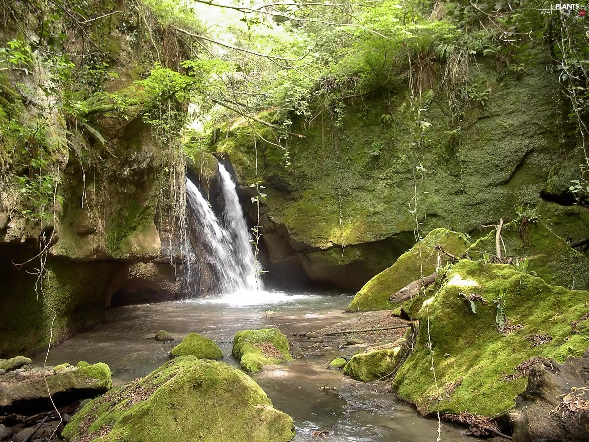 rocks, brook, mosses, waterfall