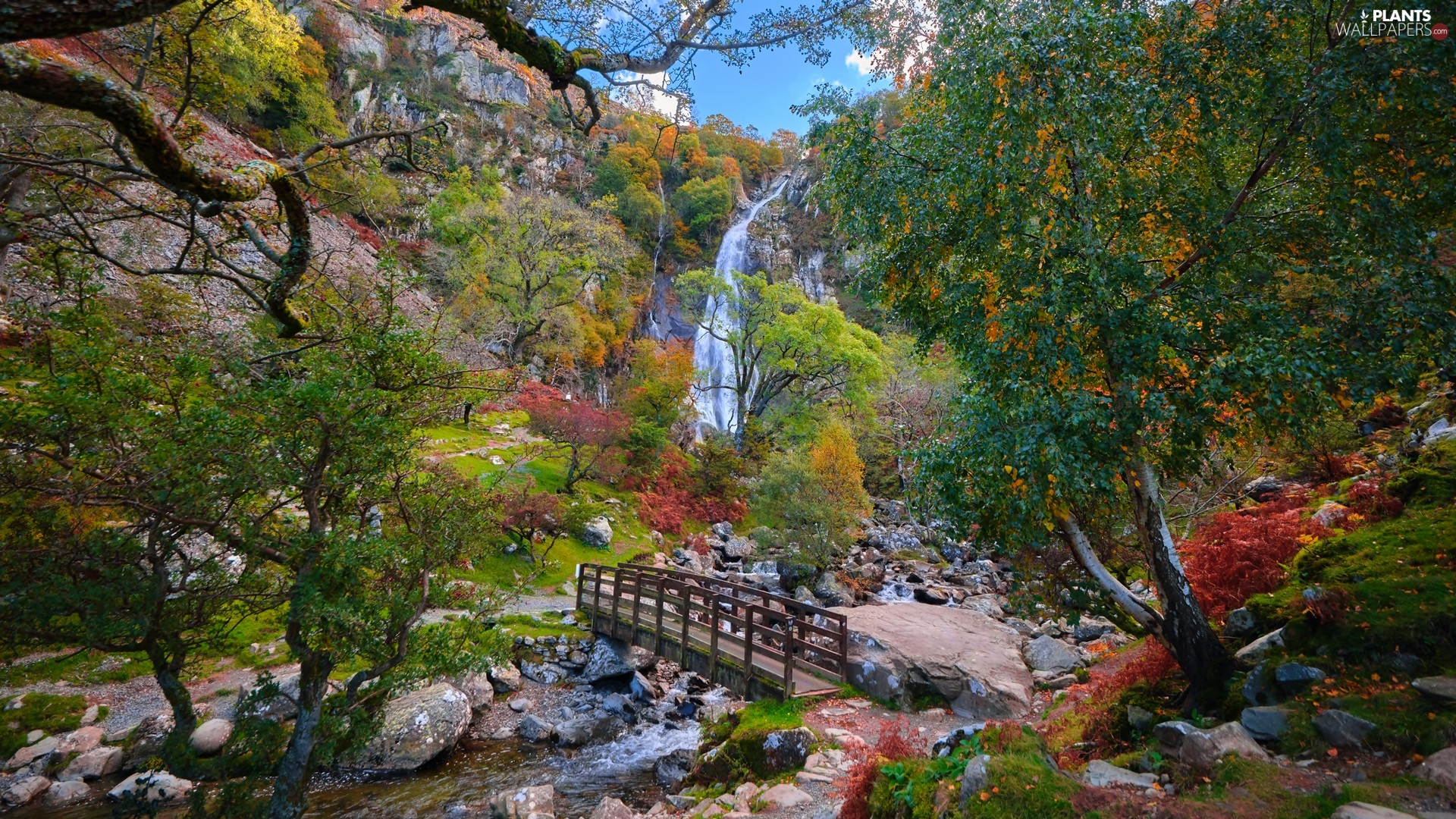 trees, bridges, Stones, waterfall, River, viewes, Mountains