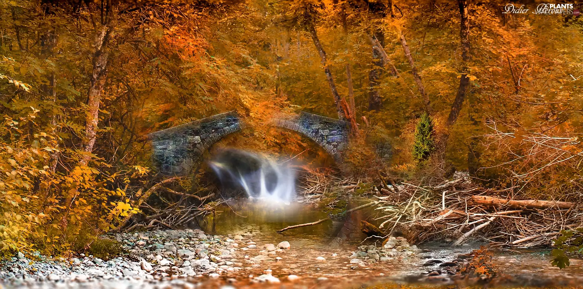 forest, bridges, trees, waterfall, France, autumn, viewes