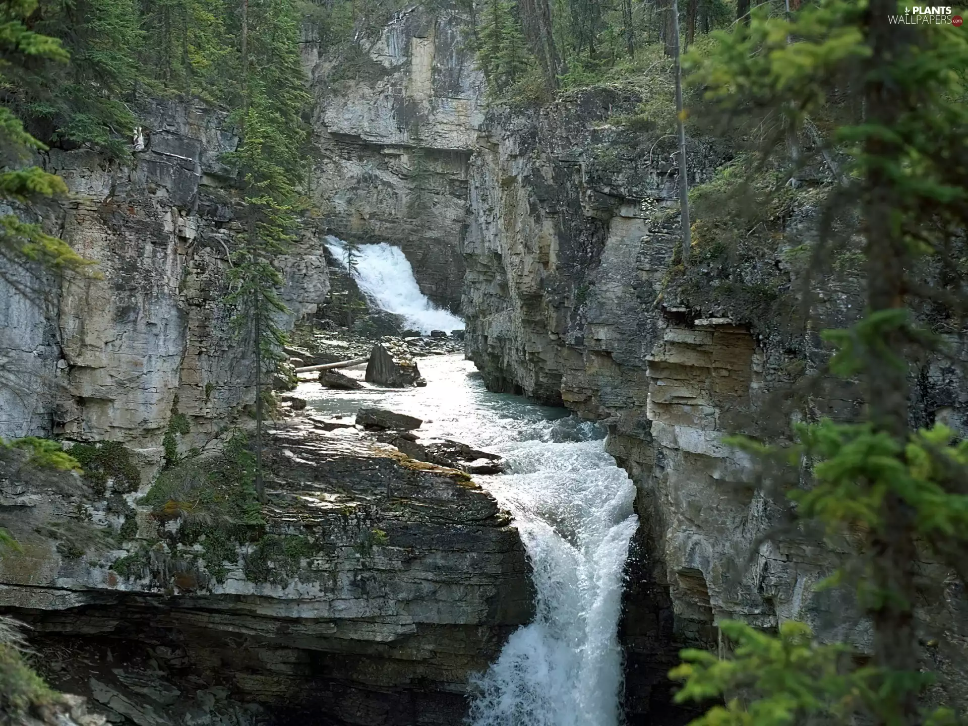 waterfall, Mountains, trees