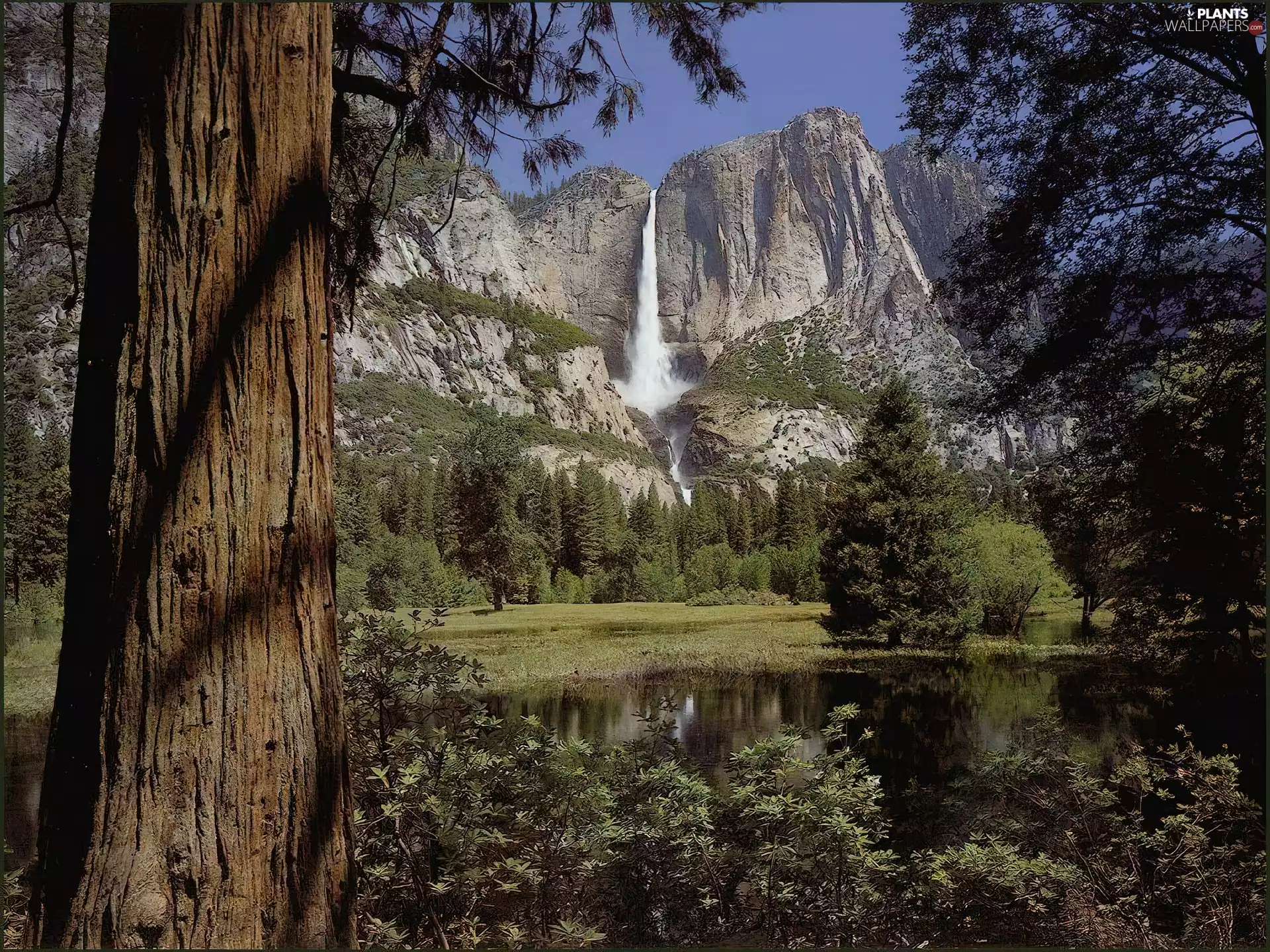 mountains, trees, viewes, waterfalls