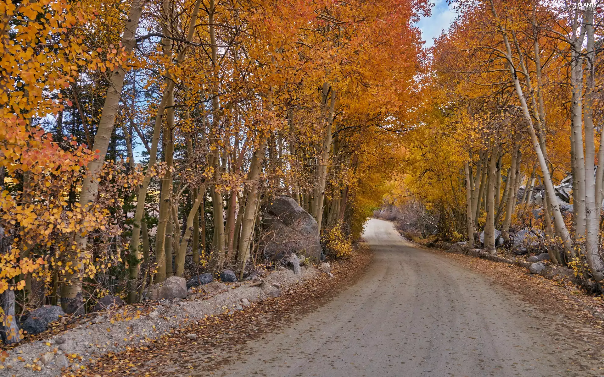 viewes, Leaf, boulders, colors, Stones, trees, autumn, Way