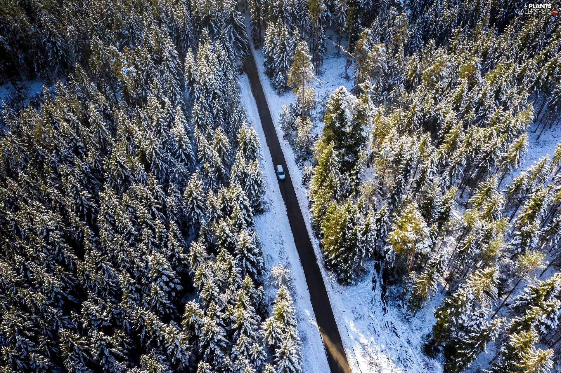 Way, trees, Aerial View, viewes, Automobile, forest, winter, snow