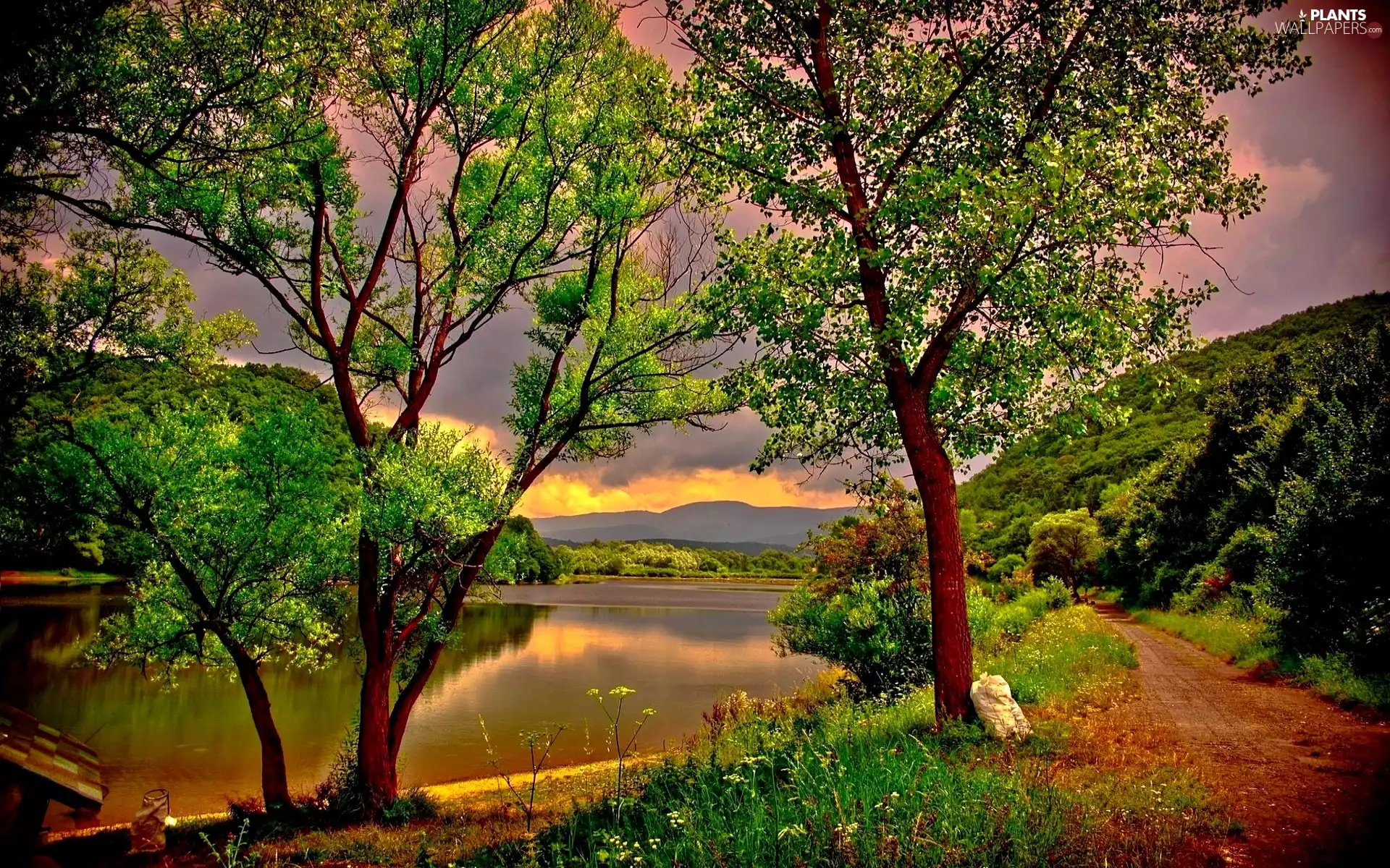 River, trees, viewes, Way