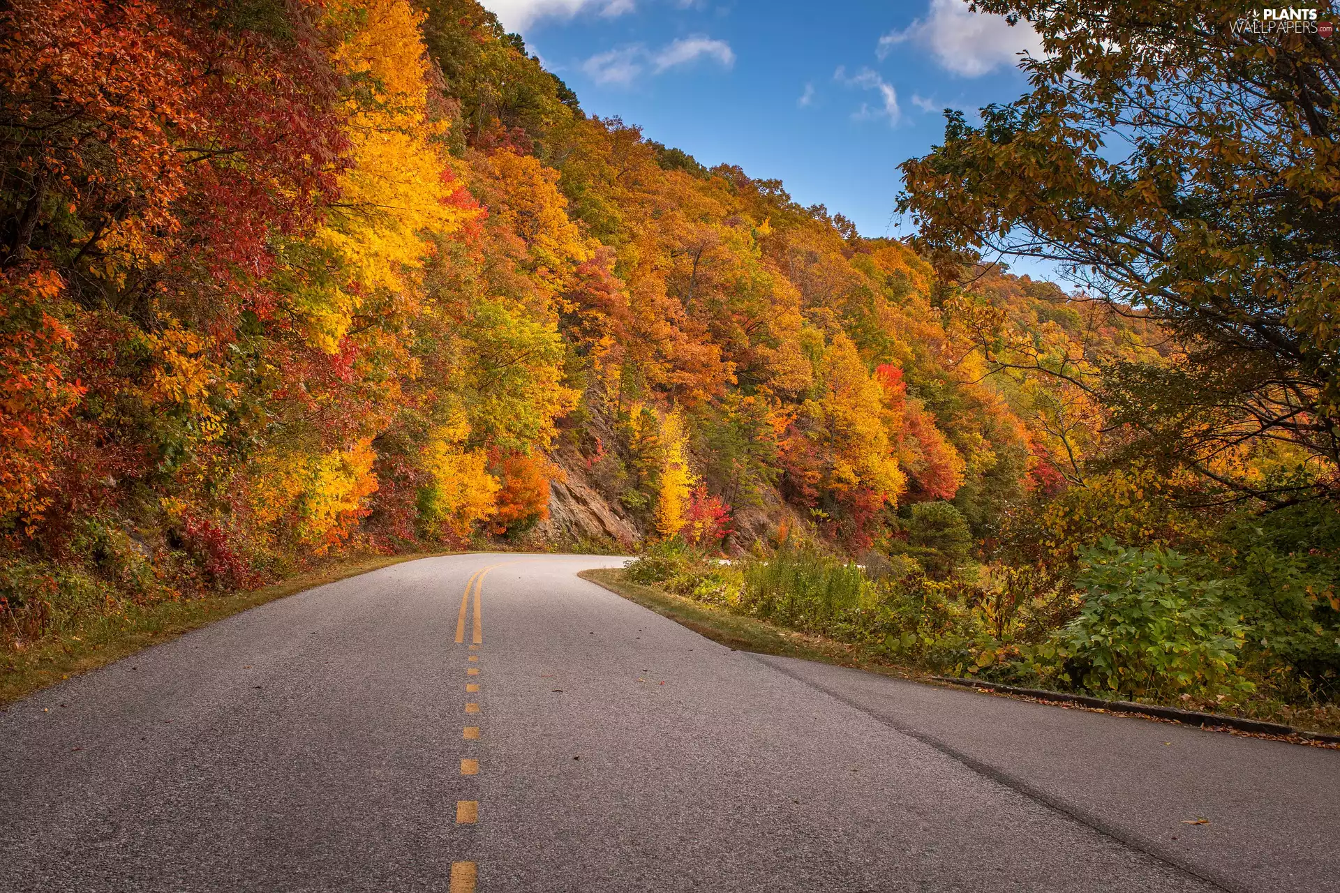 rocks, Way, trees, viewes, autumn