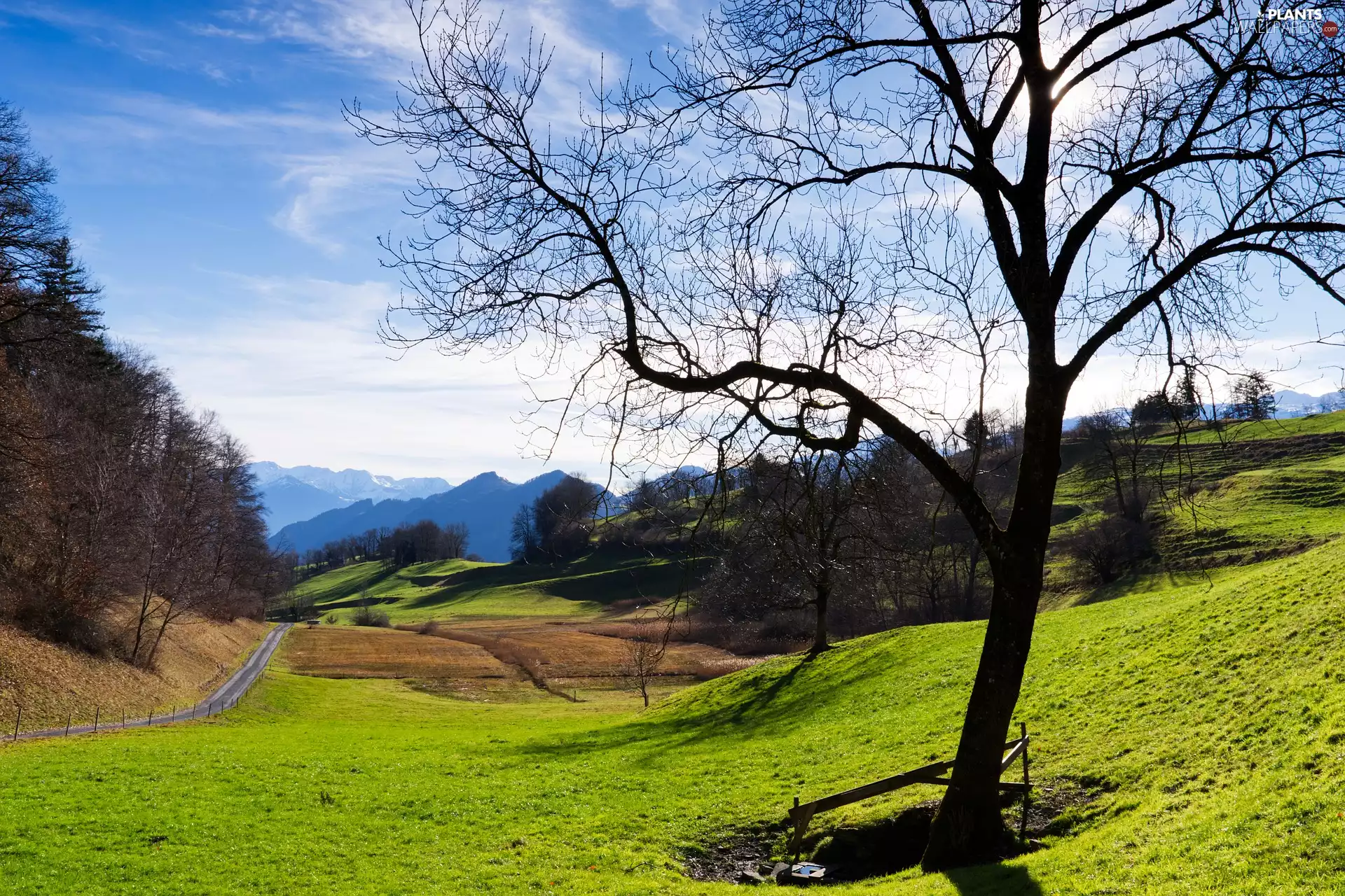 The Hills, trees, Way, Mountains, Valley, viewes