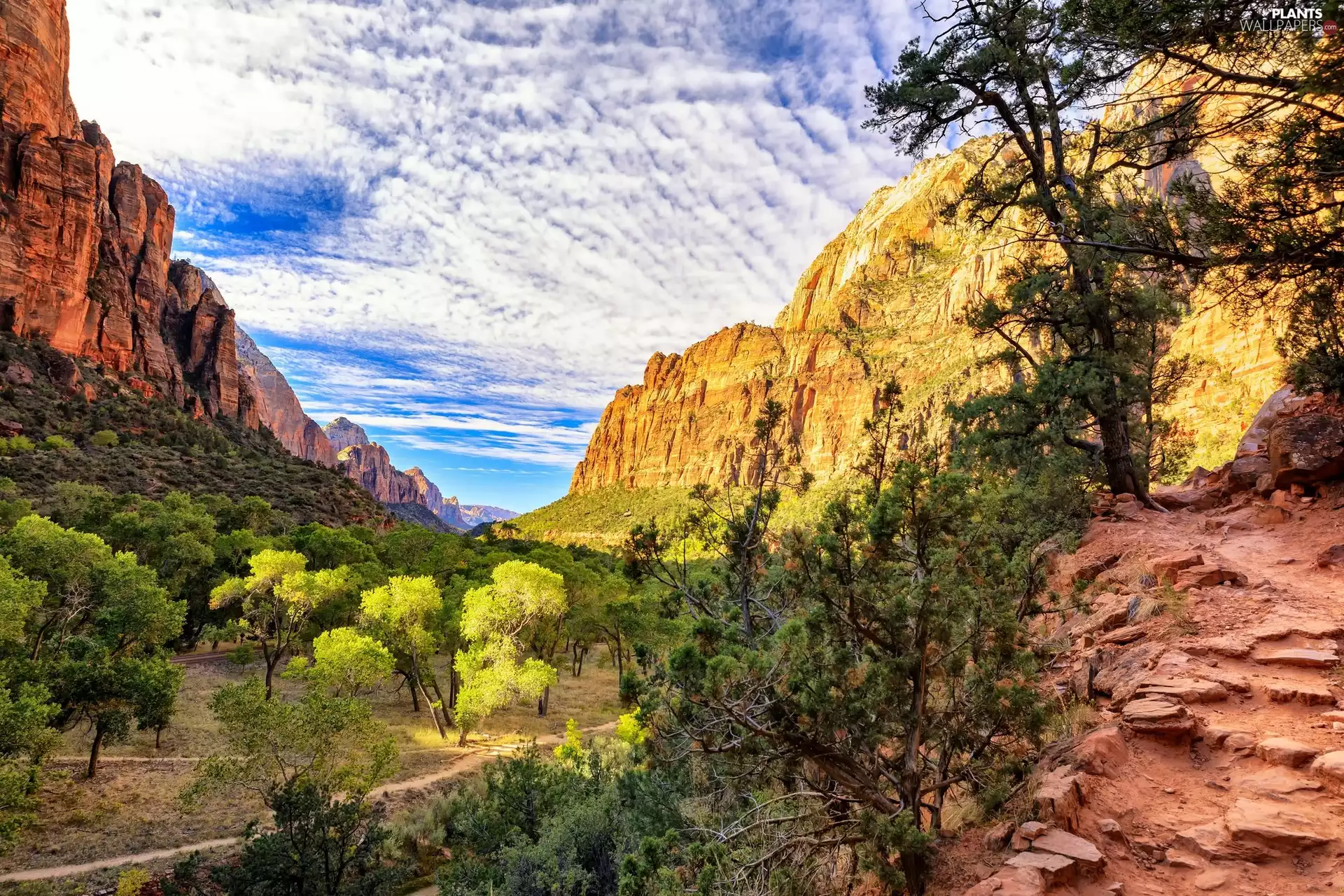 Valley, Way, trees, viewes, Mountains