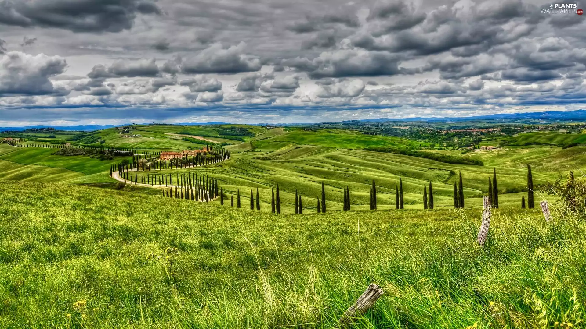 trees, Meadow, Tuscany, Way, clouds, viewes, Italy