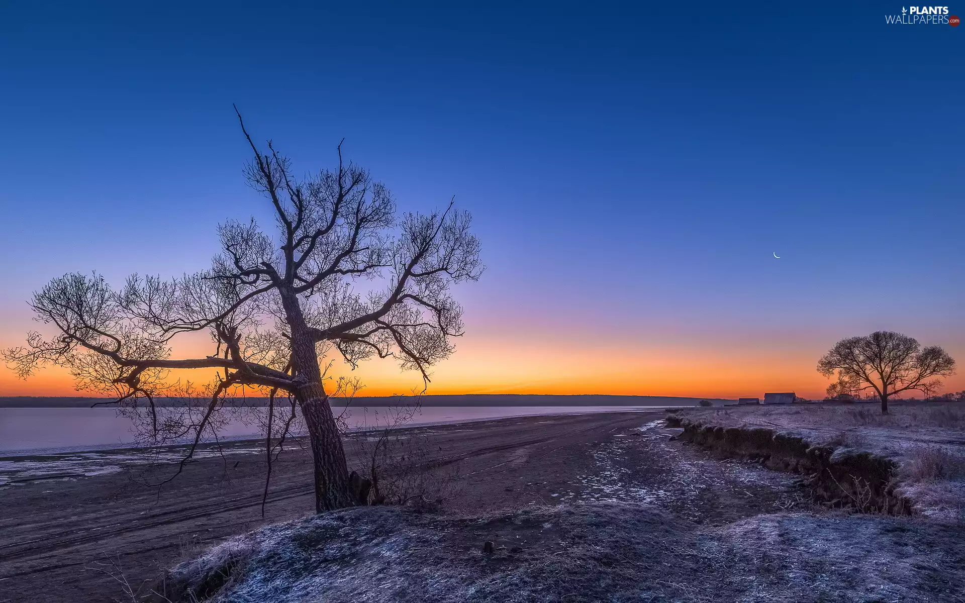 field, winter, viewes, Way, trees, Great Sunsets
