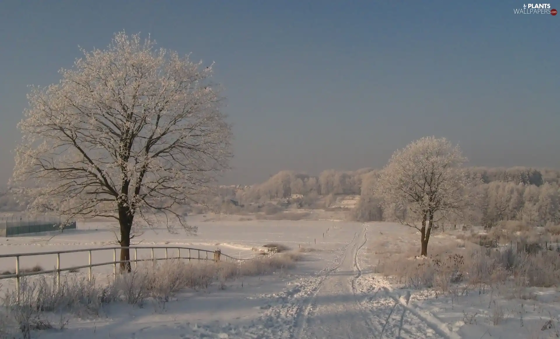 winter, Field, Way, snow