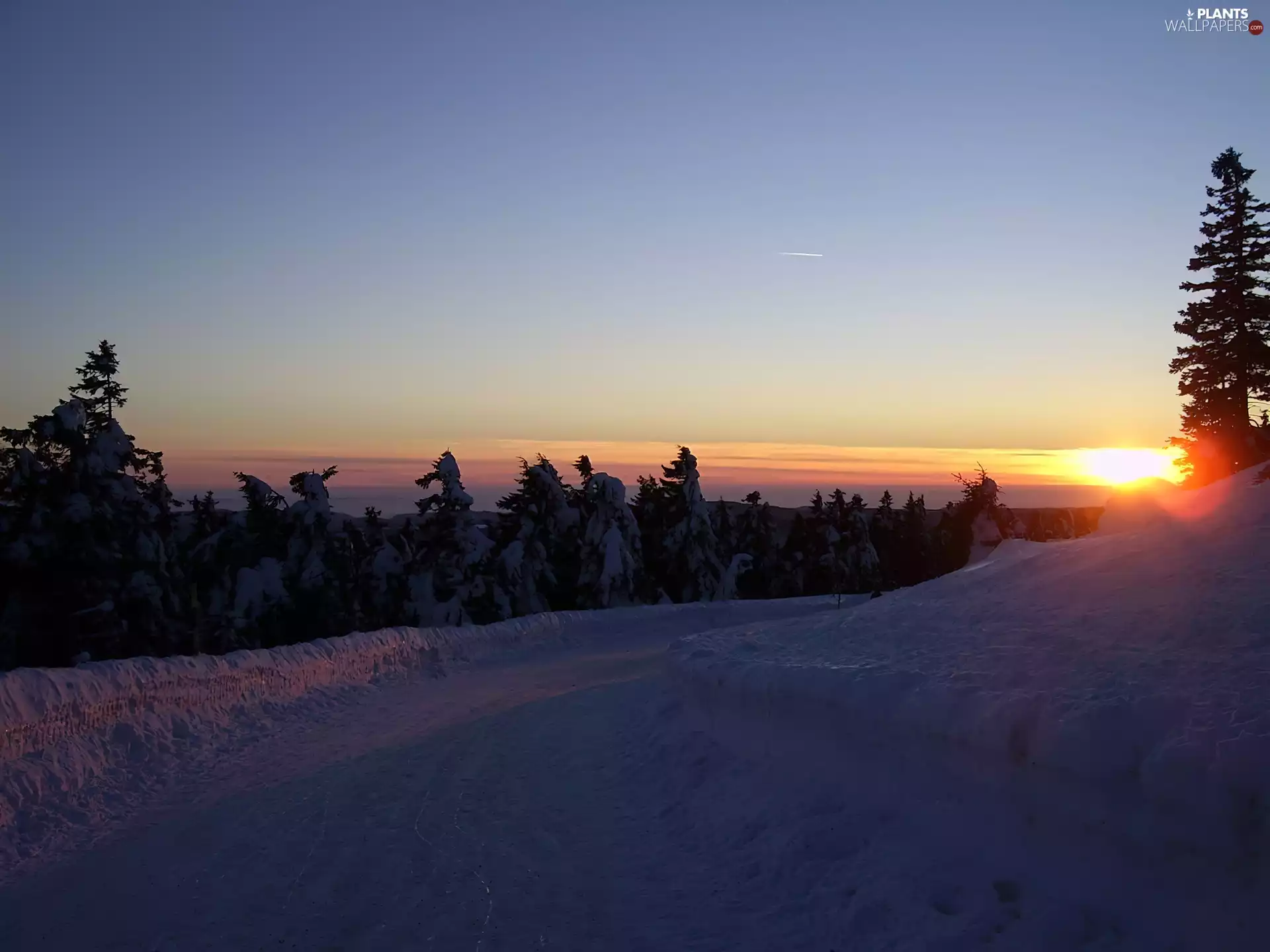 viewes, Great Sunsets, Way, trees, winter