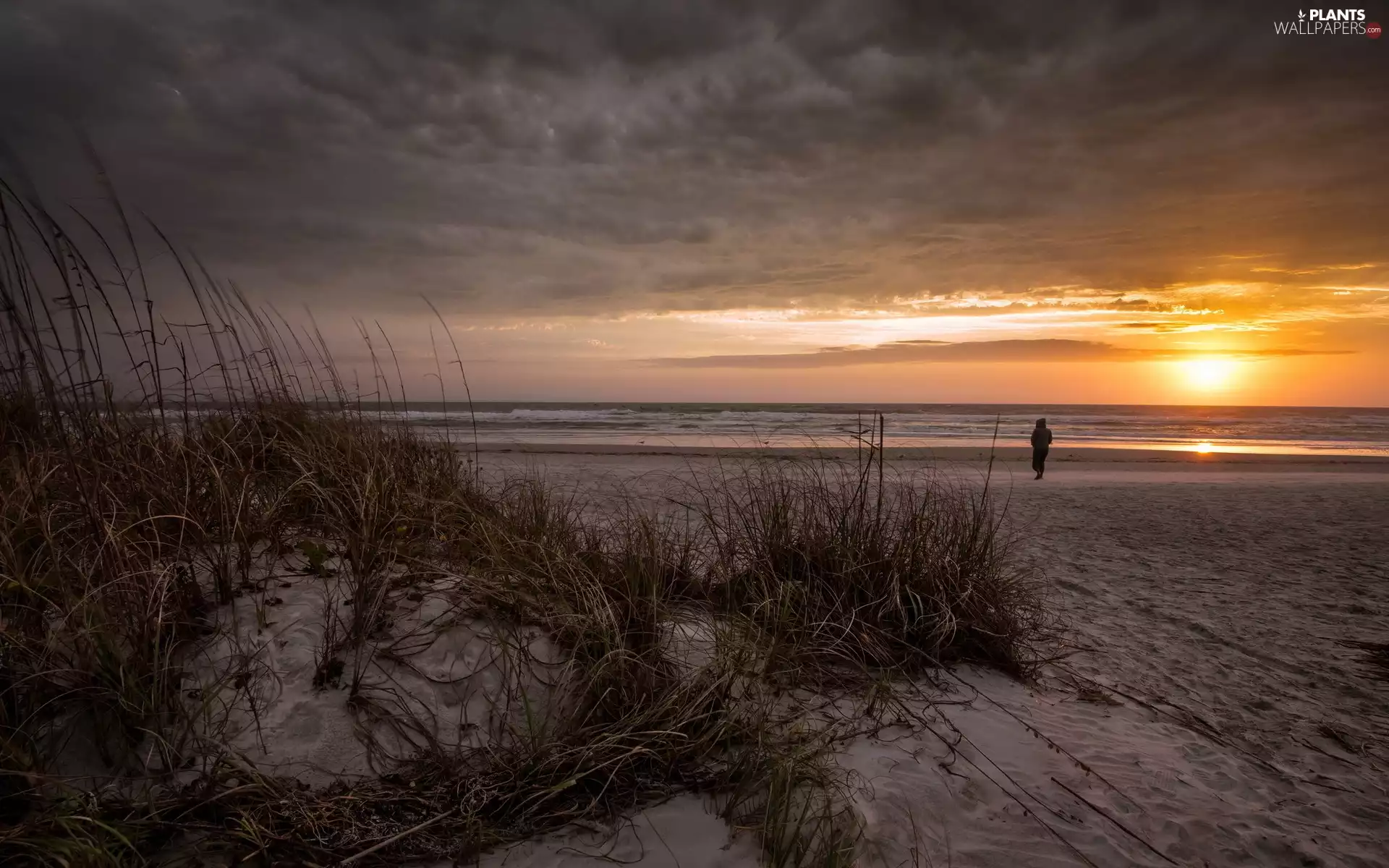 Dunes, a man, west, sun, grass, Beaches