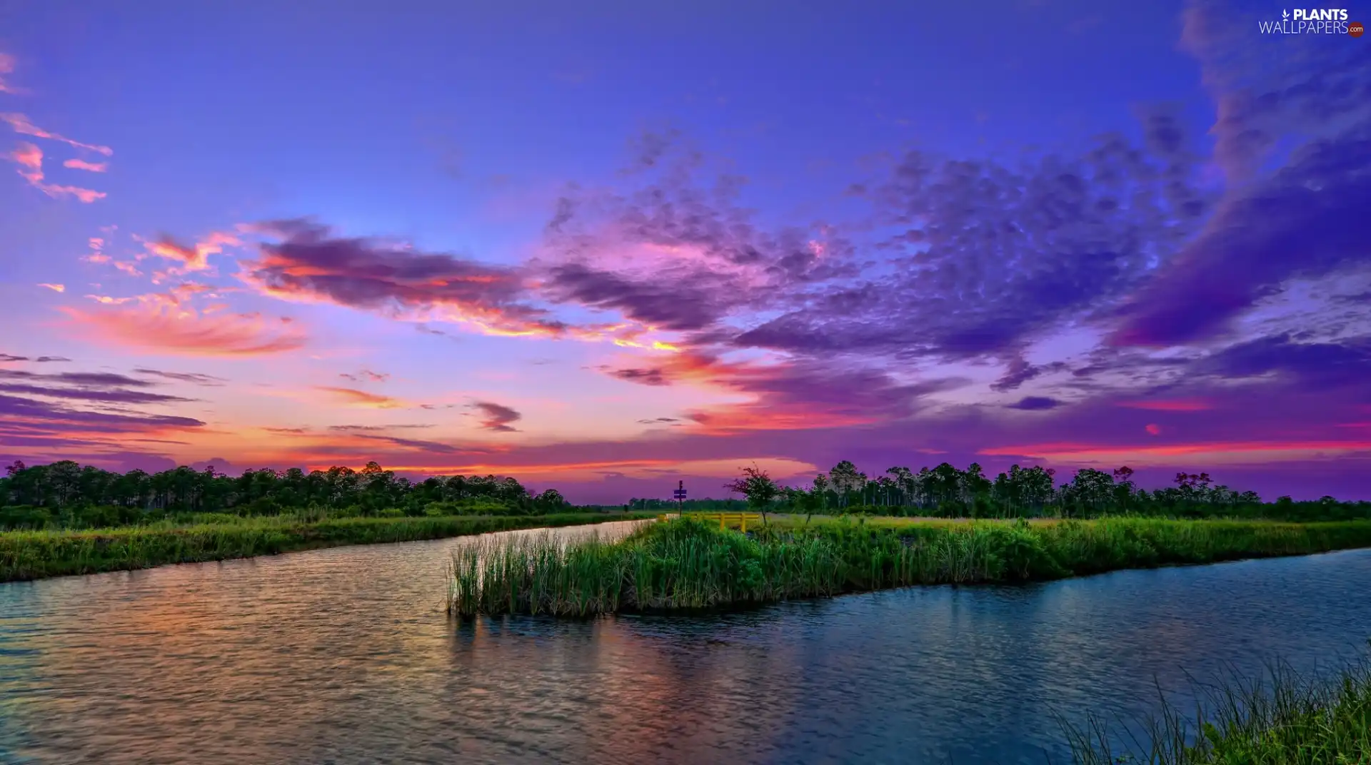 viewes, lake, west, sun, grass, trees