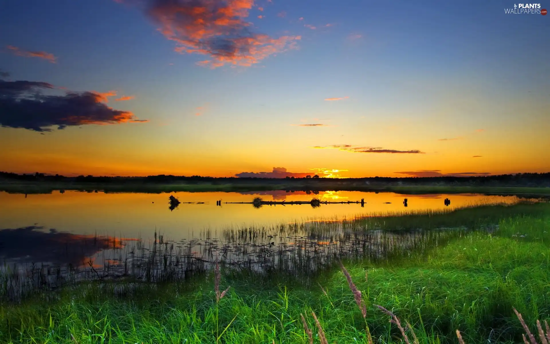 west, sun, grass, clouds, lake