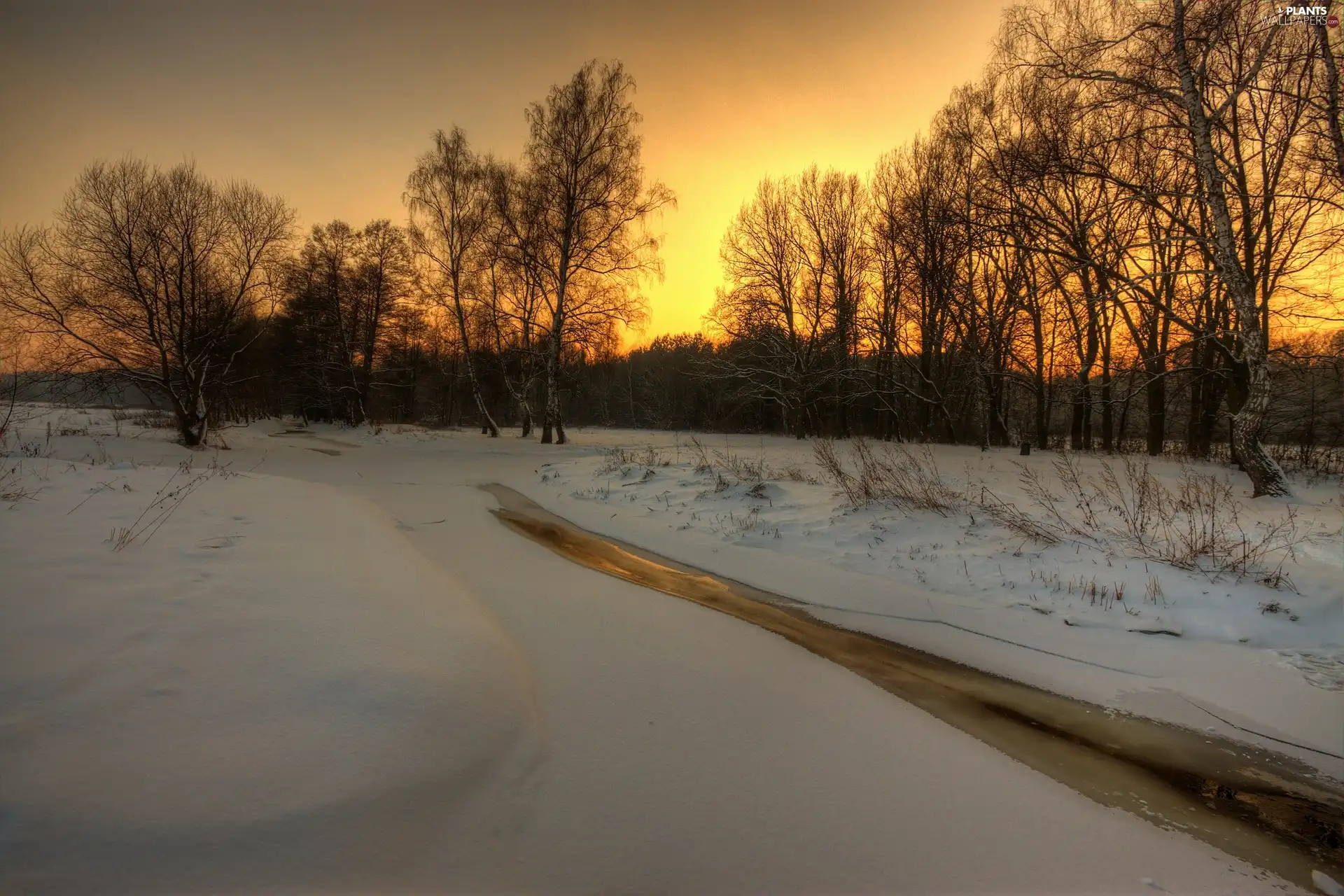 west, sun, viewes, stream, trees