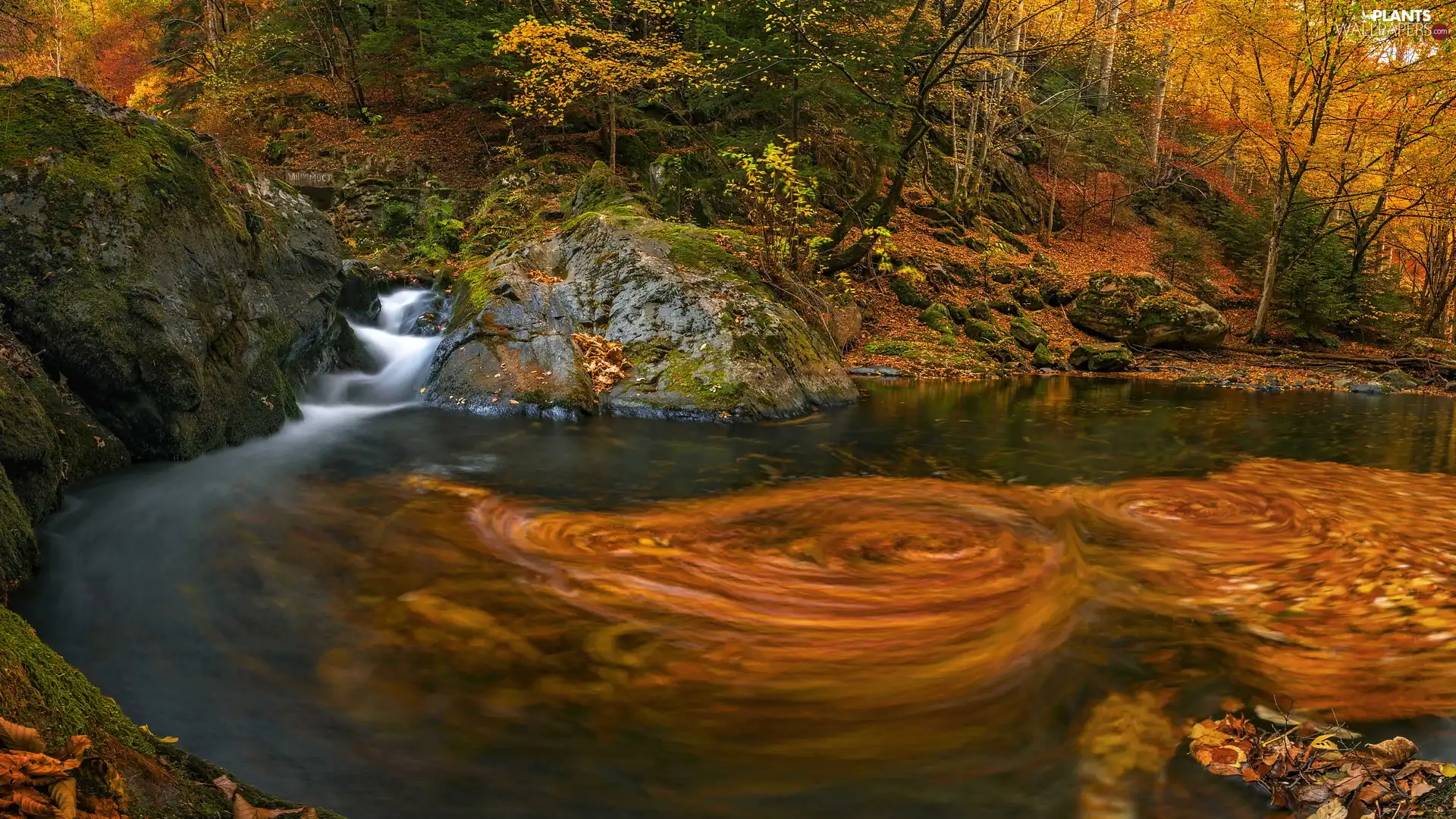 trees, autumn, River, whirlwind, viewes, rocks