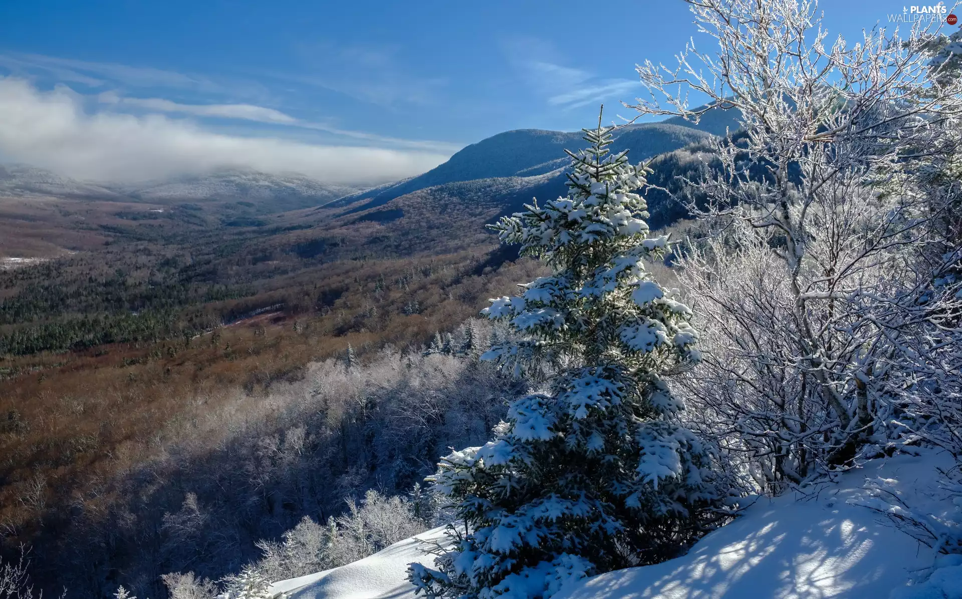 trees, State of New Hampshire, White Mountains, snow, winter, The United States, Appalachian Mountains, Sky, viewes, The Hills
