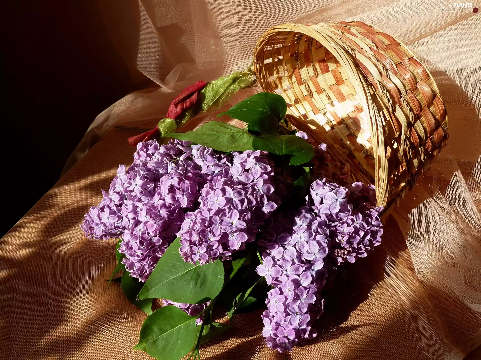 without, basket, textile, wicker