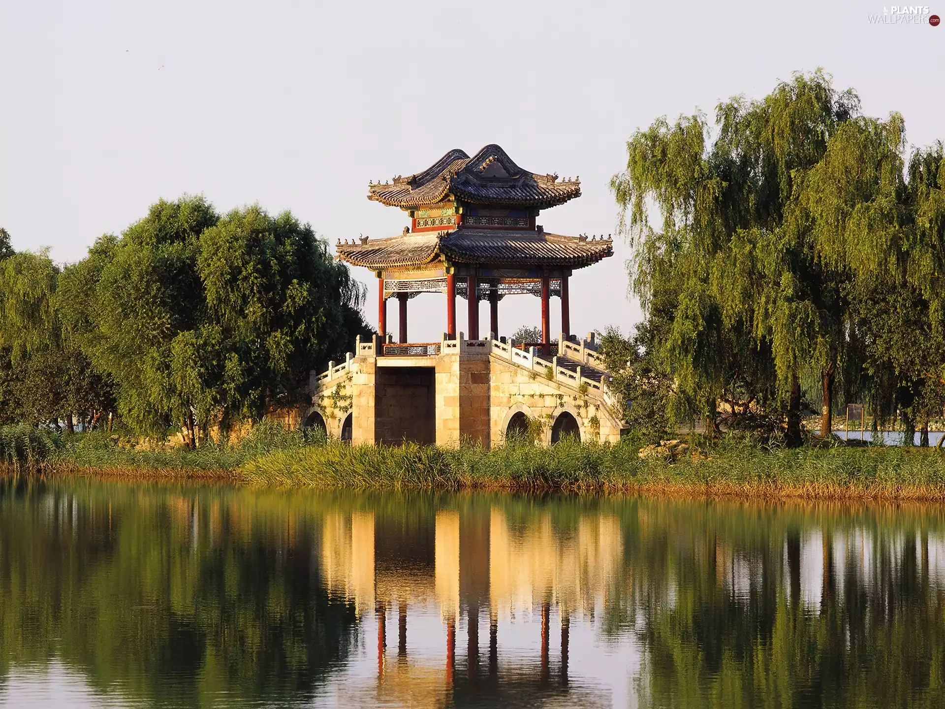 Buldings, Garden, Pond - car, Japanese, Park, lake, Willow