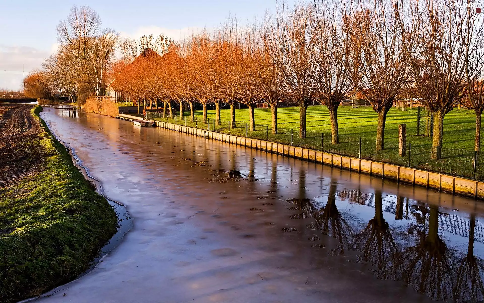 Field, house, sun, Workaround, west, River, Spring, willow