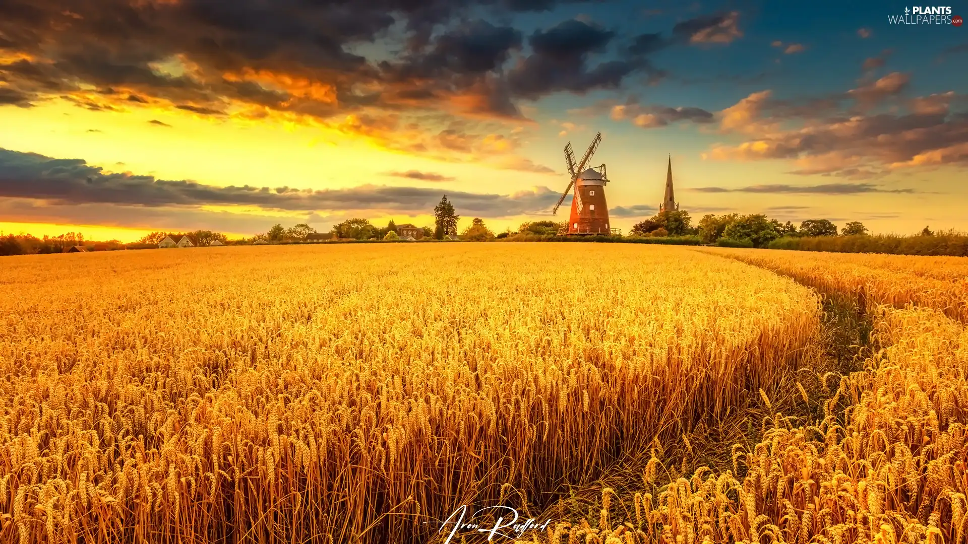 Houses, corn, viewes, Windmill, Field, trees, clouds