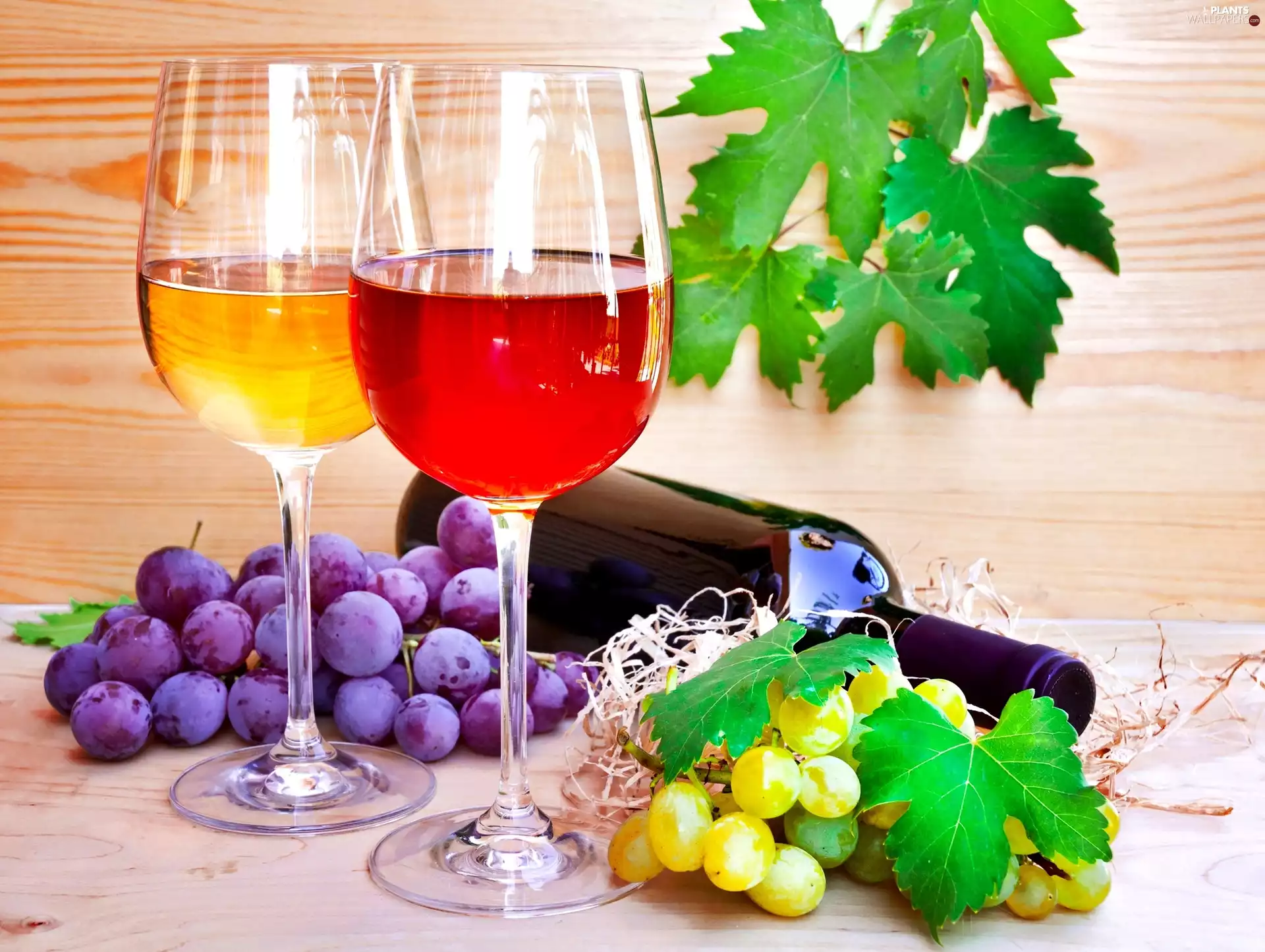 Bottle, Wines, Grapes, Leaf, Lights