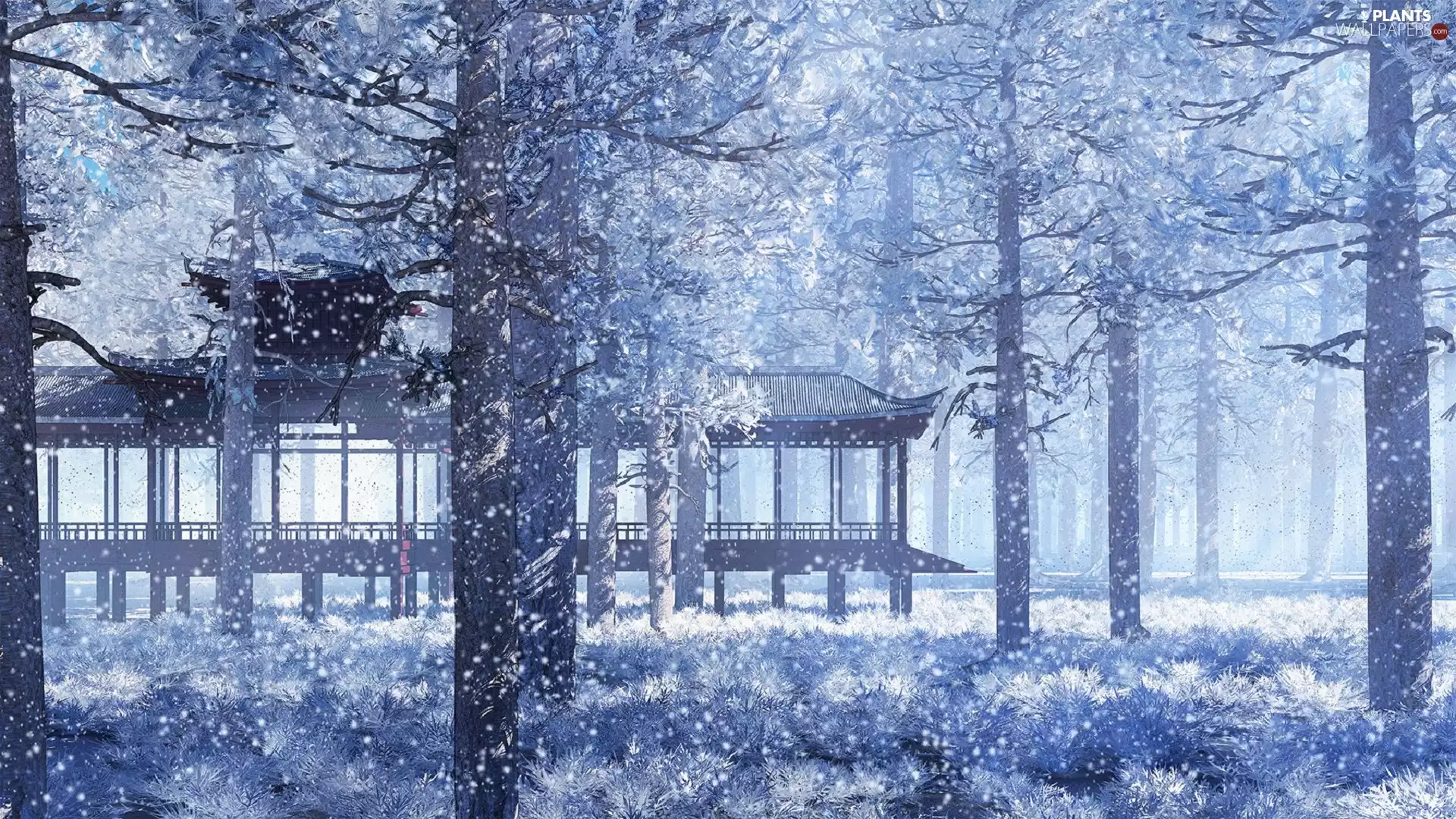 arbour, trees, viewes, winter