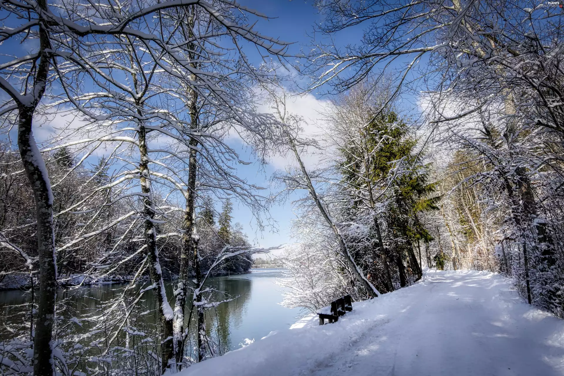 Way, River, viewes, winter, trees, Bench