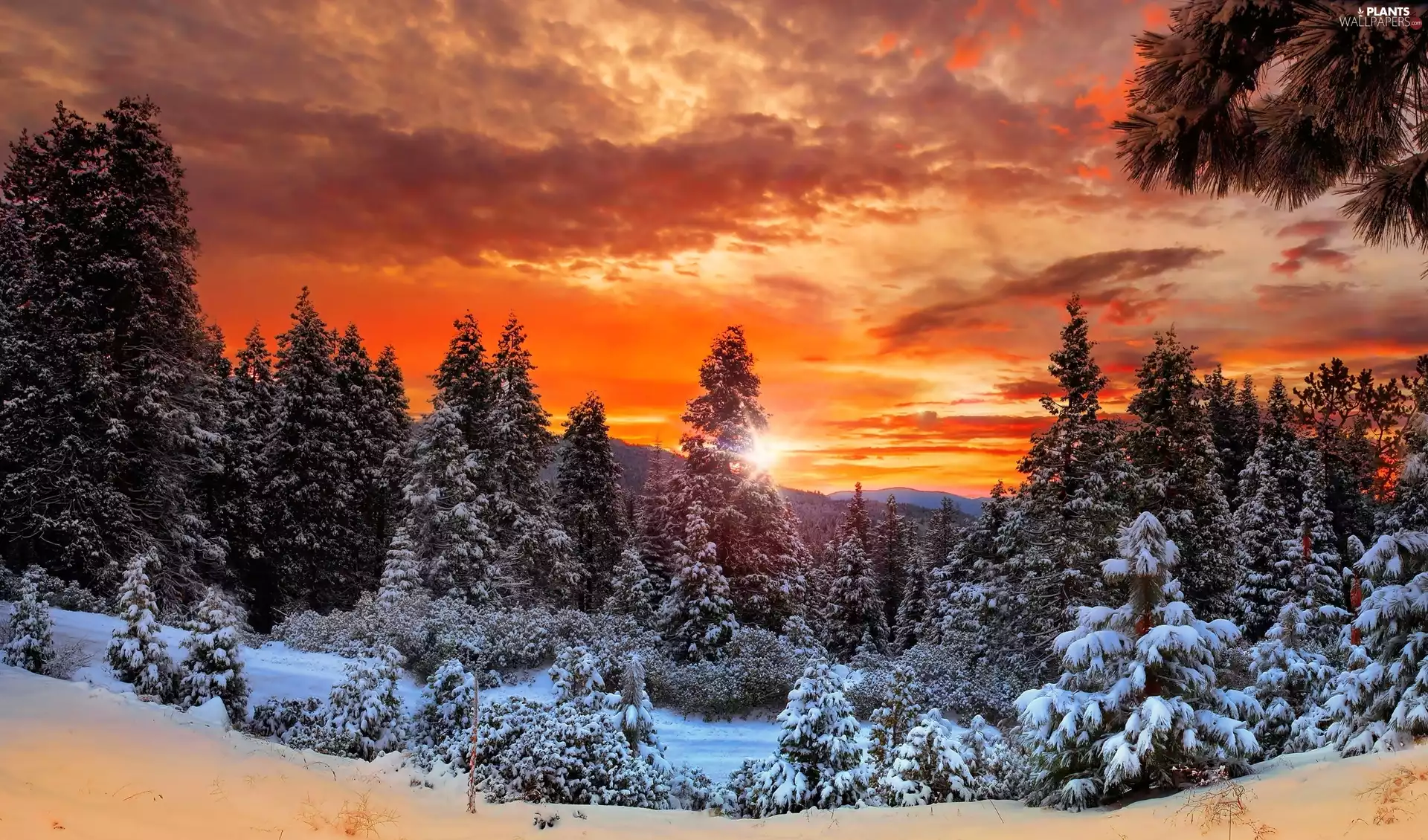 Mountains, trees, clouds, viewes, woods, Great Sunsets, winter