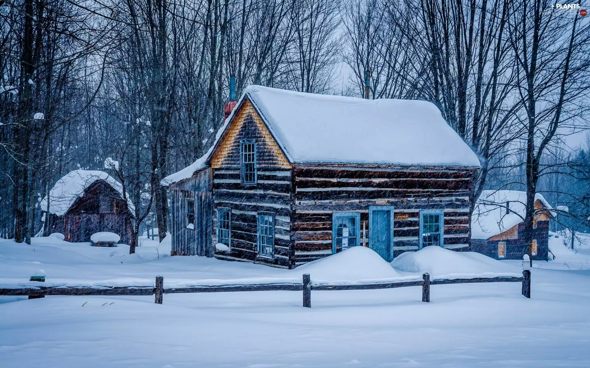 trees, Houses, fence, winter, viewes, forest