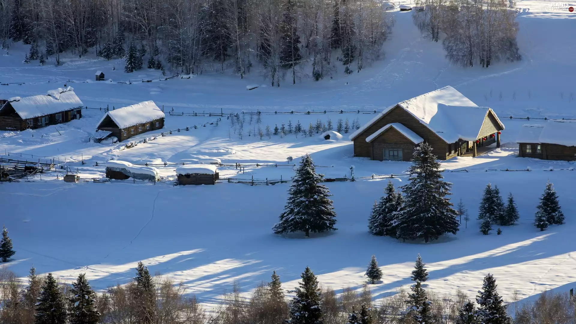viewes, winter, forest, trees, Houses