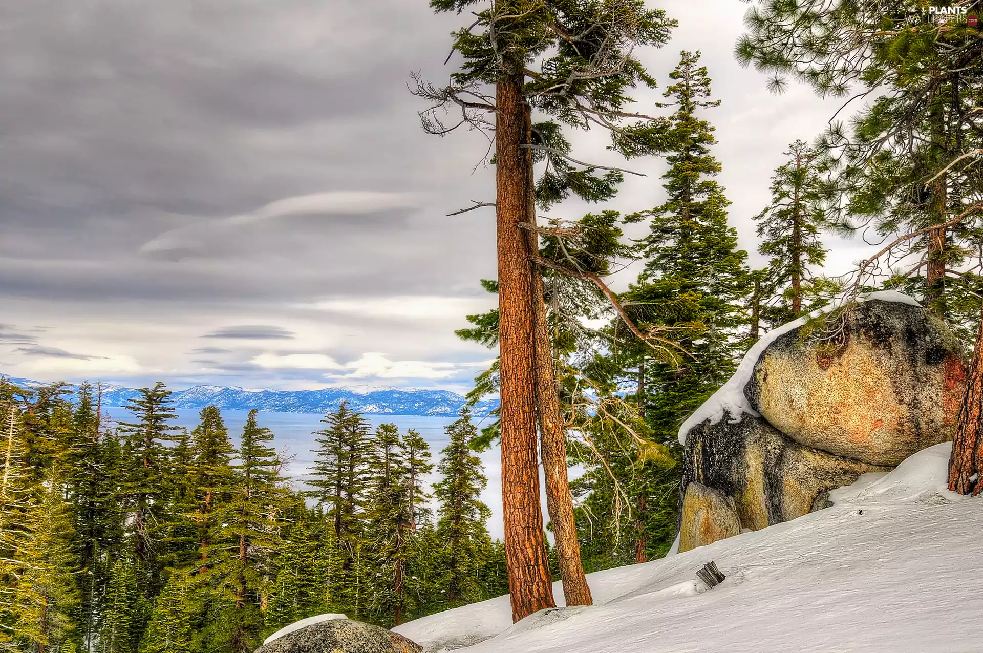 Stones, winter, forest, lake, Mountains