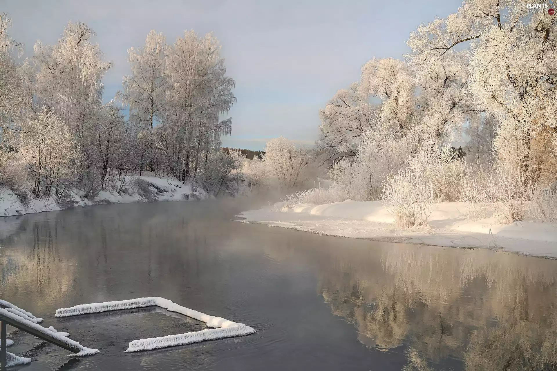 viewes, winter, frosty, trees, River