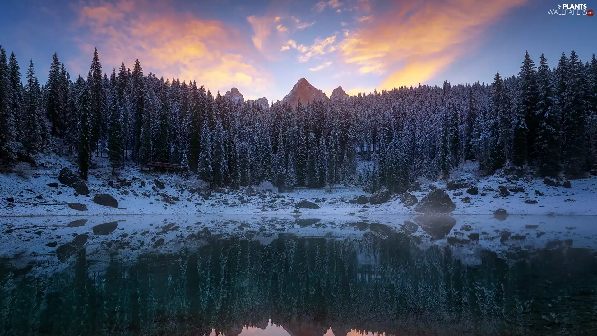 forest, Mountains, viewes, winter, trees, lake