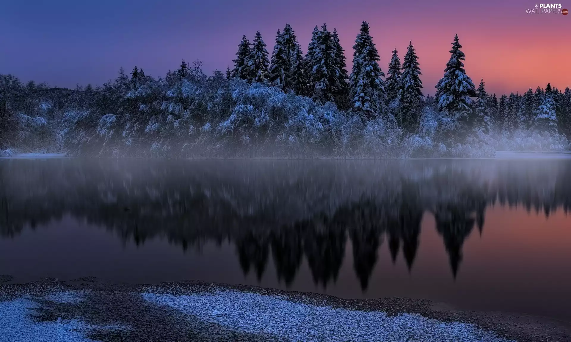 District of Sør-Trøndelag, Norway, Nidelva River, Sunrise, Spruces, reflection, River, Snowy, winter
