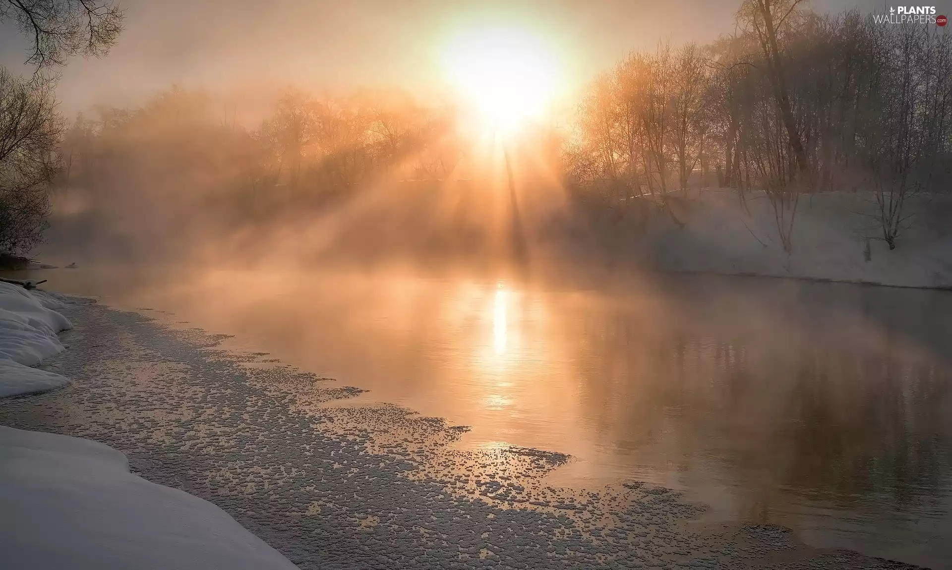 viewes, rays of the Sun, River, trees, winter