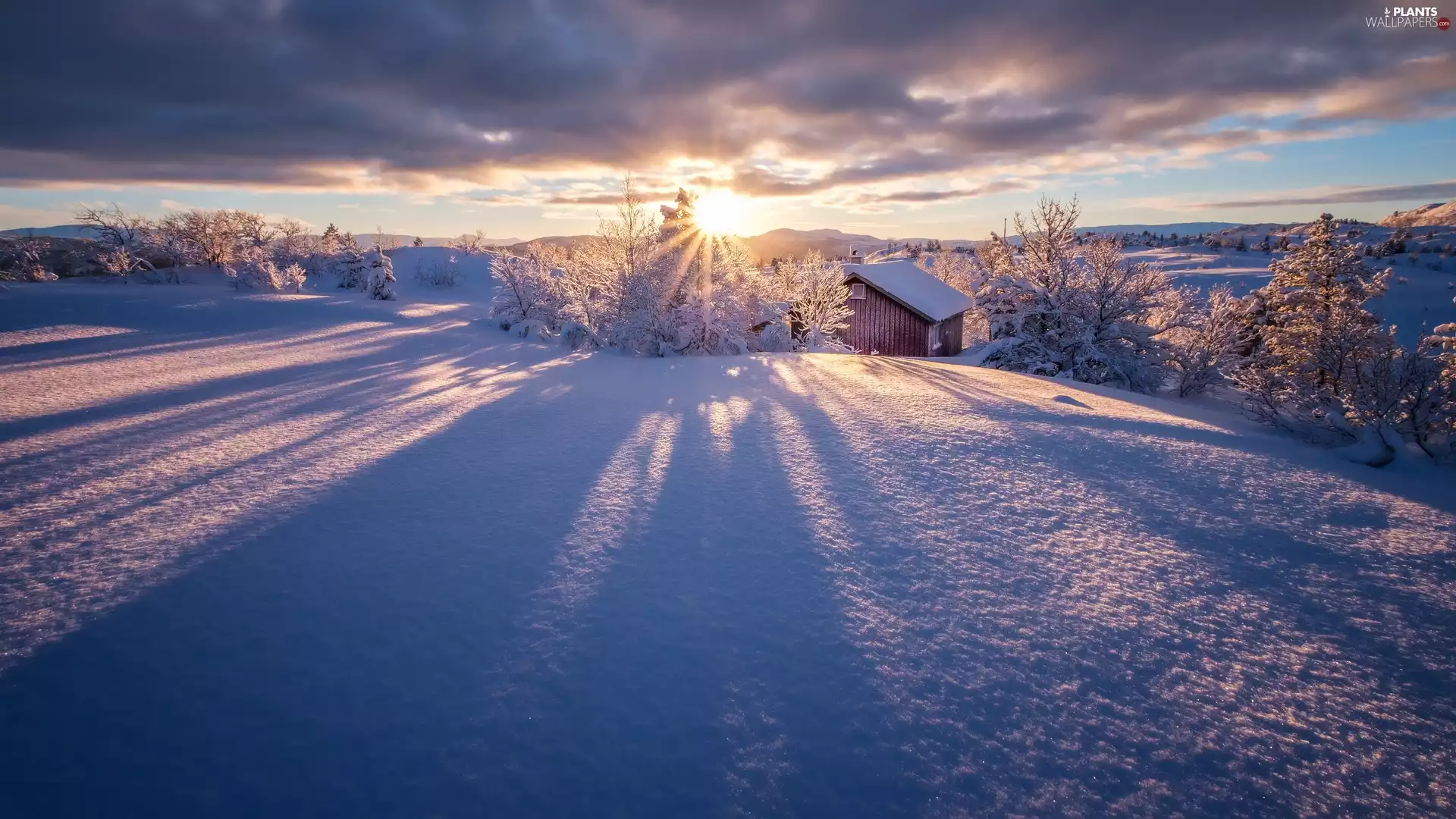 house, rays of the Sun, trees, viewes, winter
