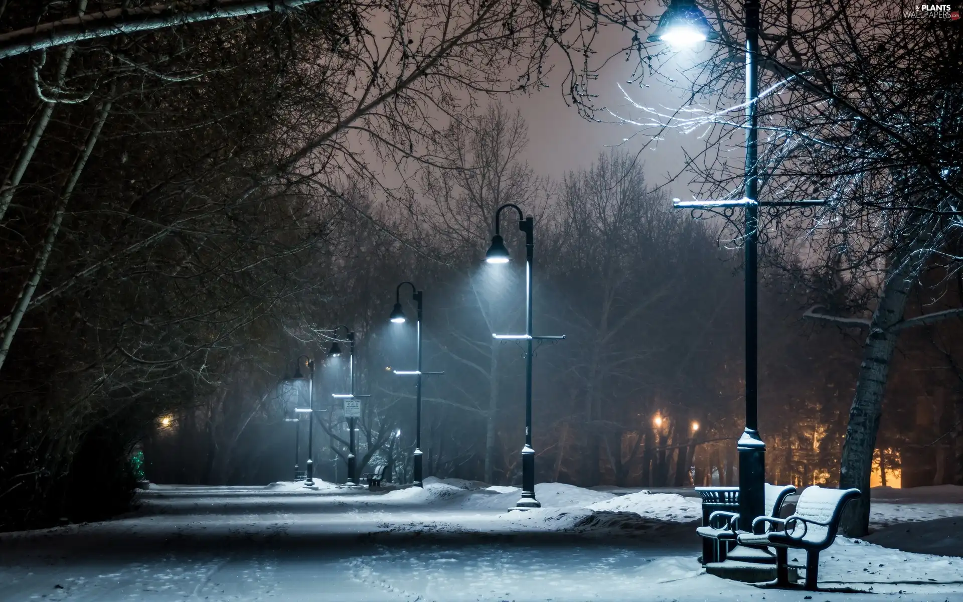 Park, bench, winter, lanterns