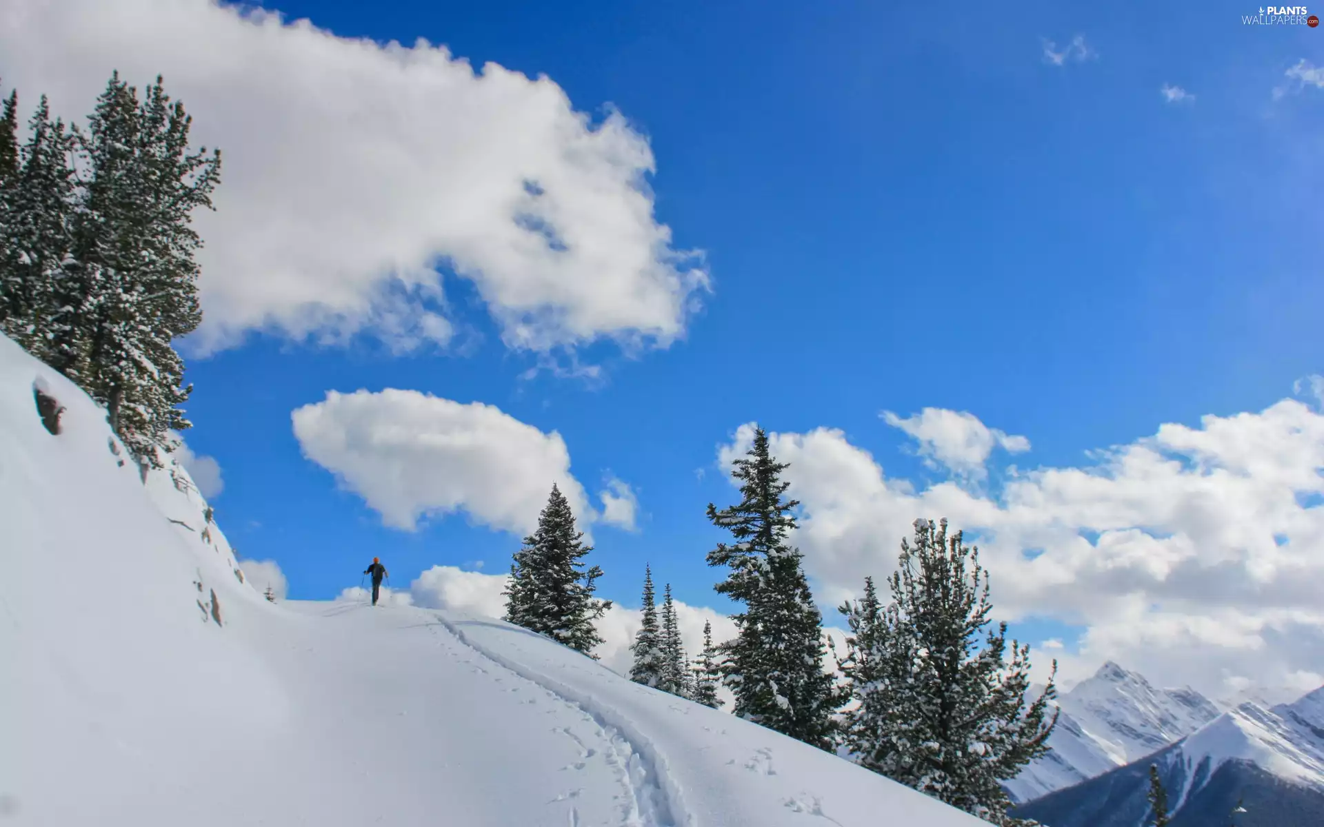 clouds, Mountains, viewes, winter, trees, Skier