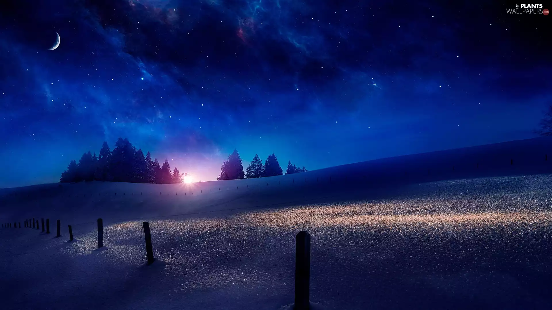 The Hills, Sky, viewes, star, Night, trees, winter