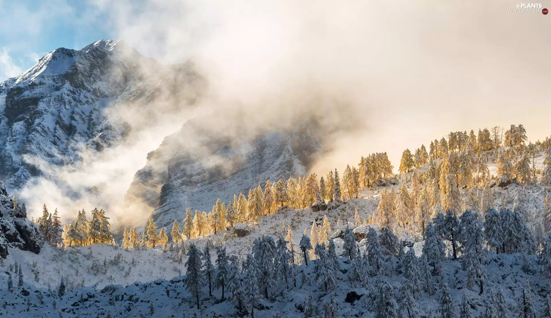 winter, snow, viewes, Mountains, trees, Triglav National Park, Slovenia, Fog