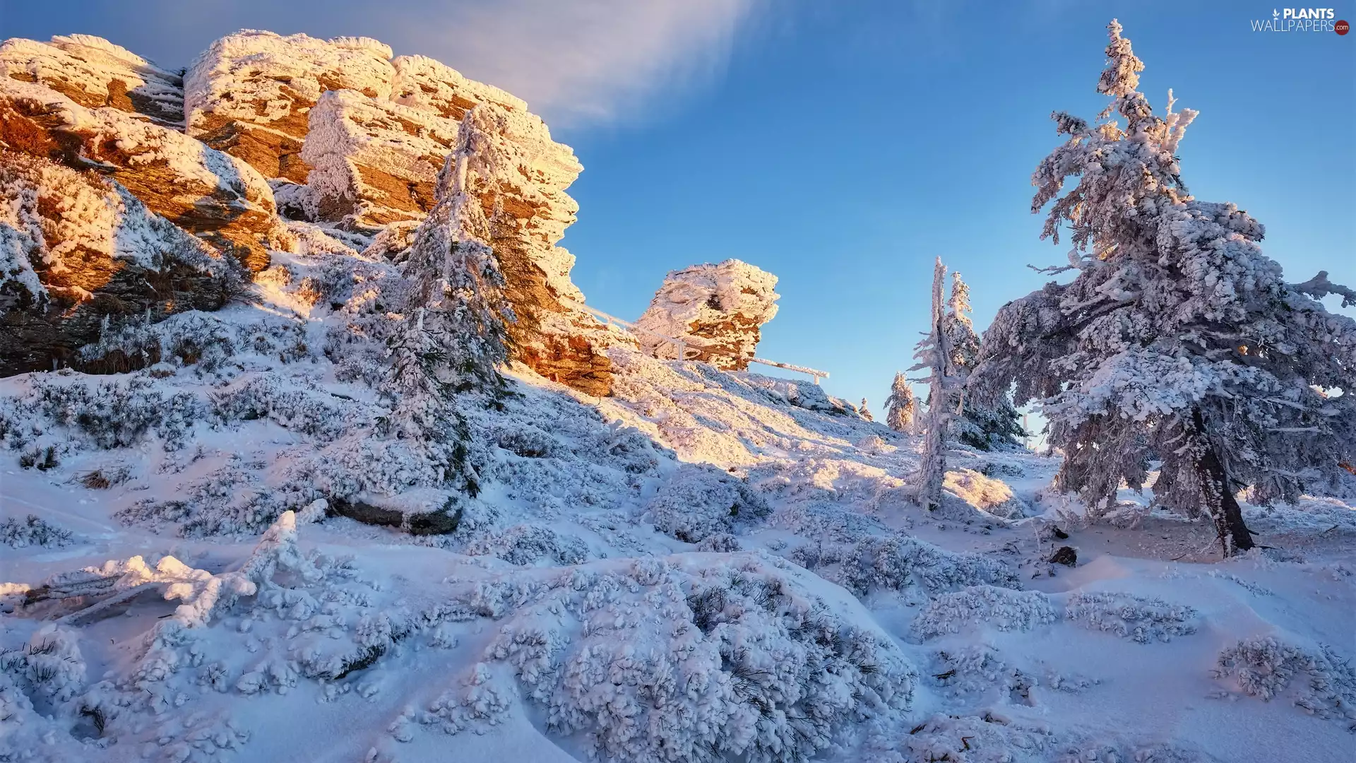rocks, Mountains, viewes, winter, trees, Snowy