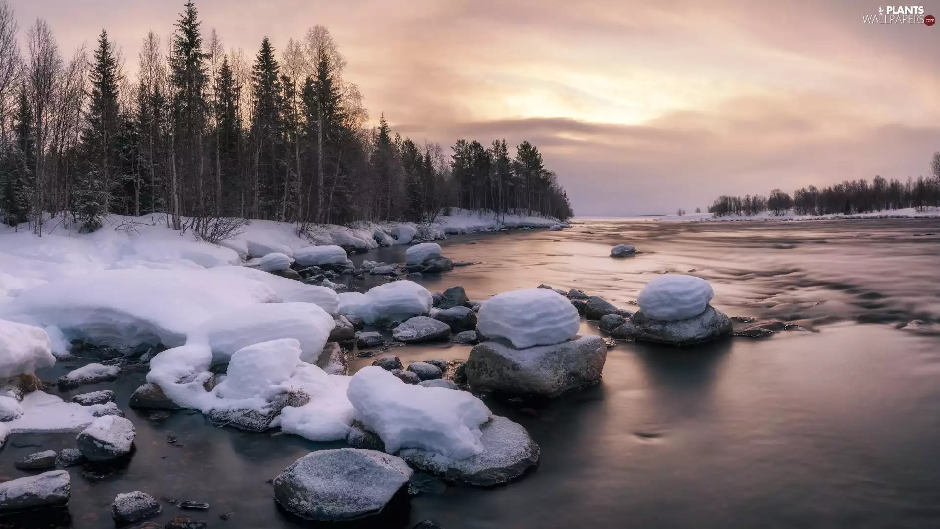 trees, River, forest, winter, viewes, Stones