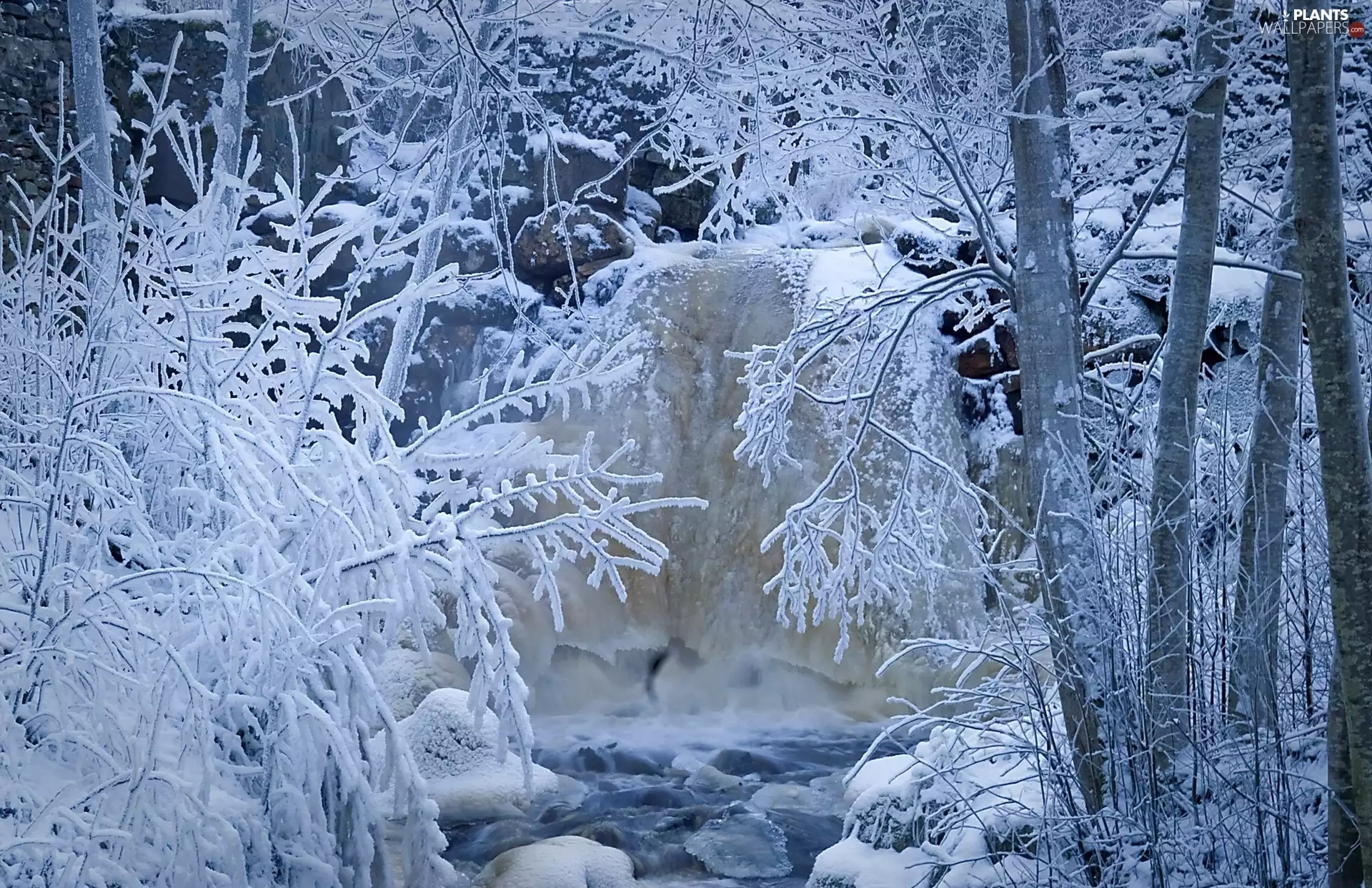 trees, waterfall, forest, winter, viewes, Stones