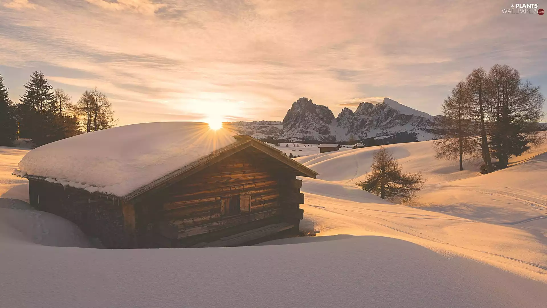 trees, Houses, viewes, Dolomites, Val Gardena, winter, wood, Italy, Sunrise, Sassolungo Mountains, Valley, Seiser Alm Meadow