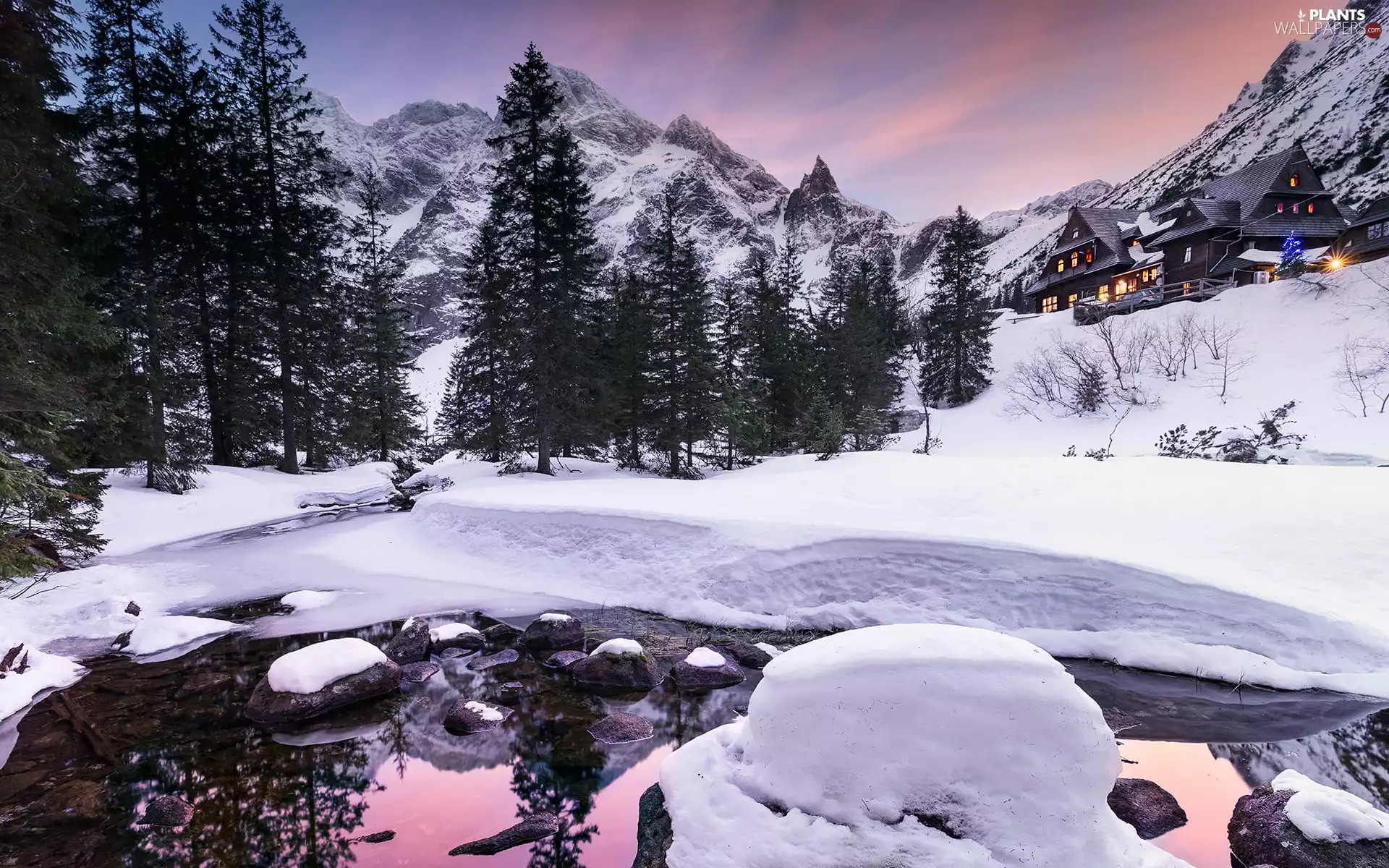 trees, Mountains, Houses, winter, viewes, Tatras