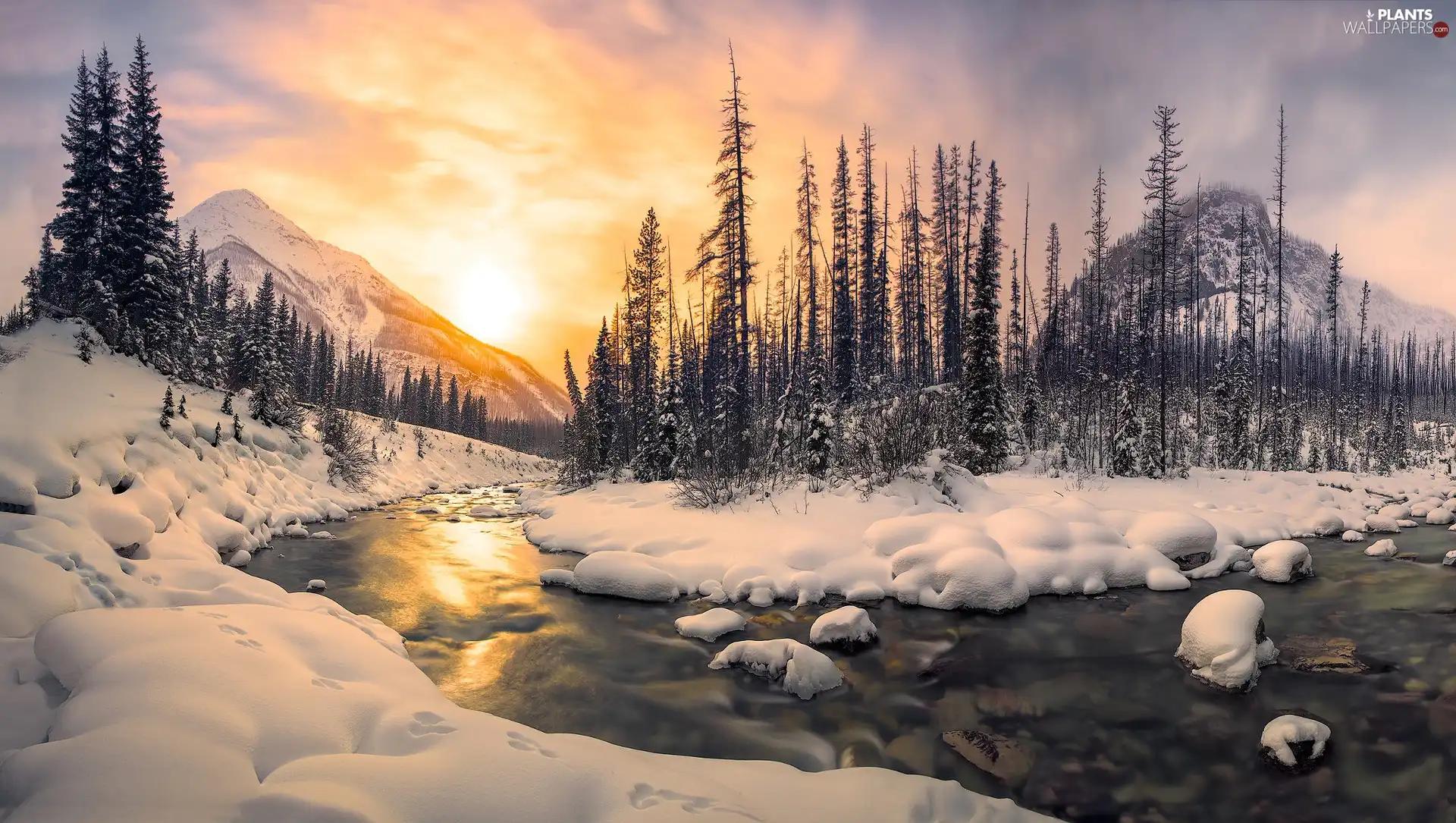 winter, Mountains, trees, viewes, rays of the Sun, River