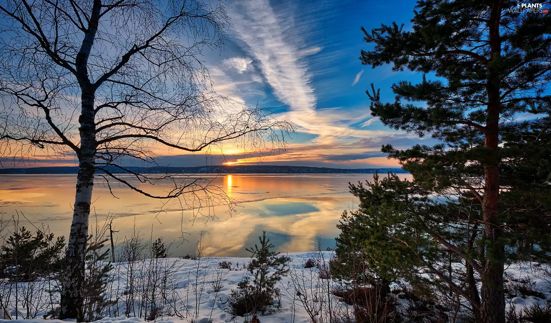 viewes, lake, clouds, winter, Sunrise, trees