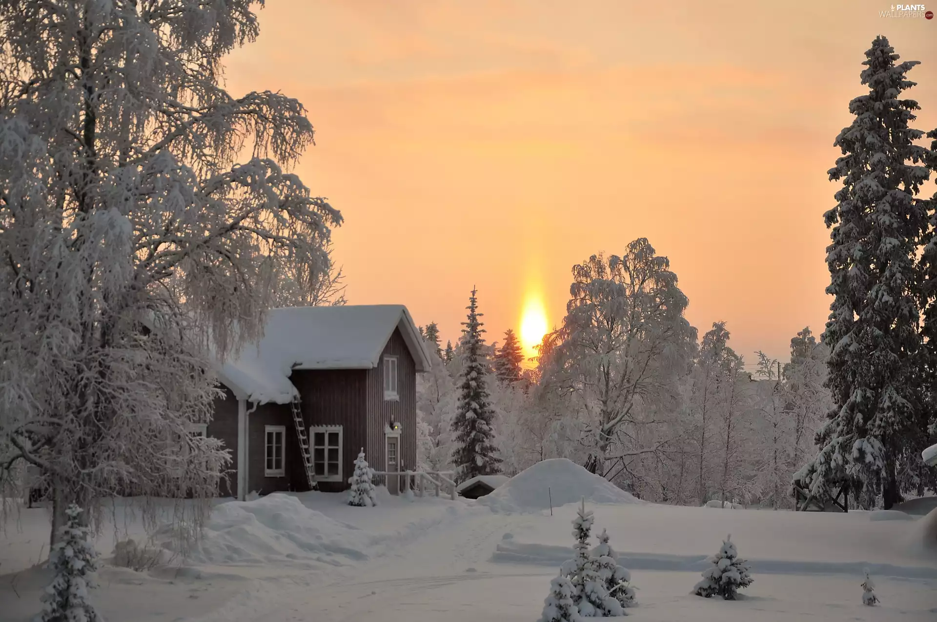 viewes, house, sun, winter, west, trees